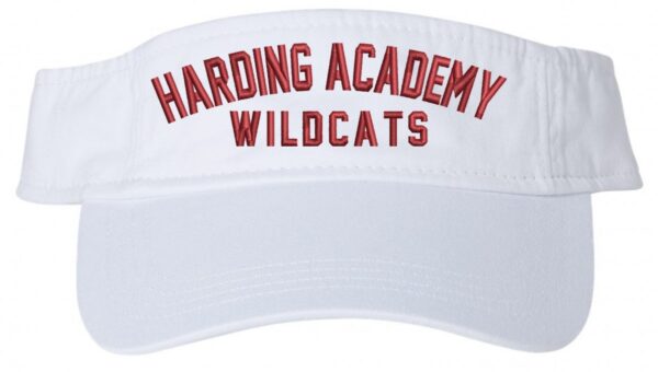 8D3 HARDING ACADEMY VISOR - Image 2