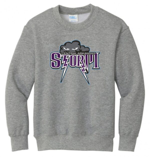 CENTRAL ARKANSAS STORM YOUTH SWEATSHIRT - Image 2