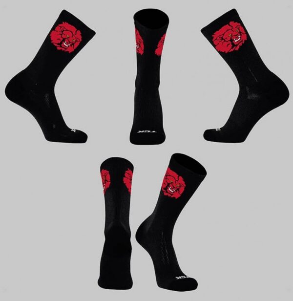 LIONS MASCOT SOCKS