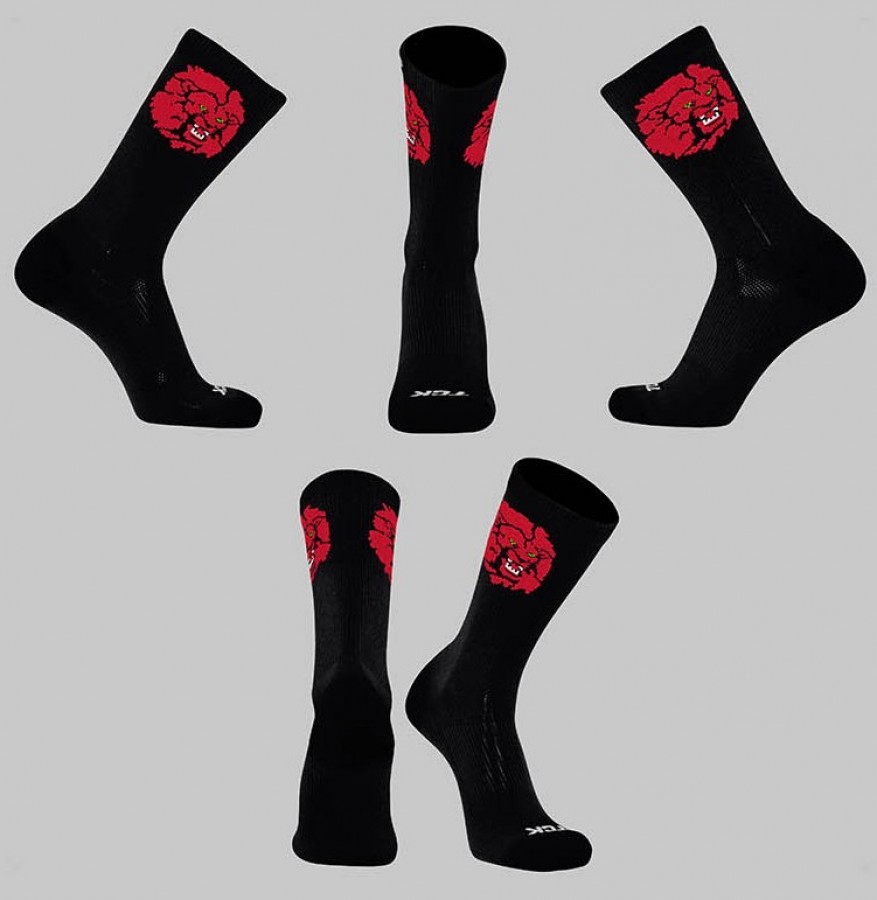 LIONS MASCOT SOCKS
