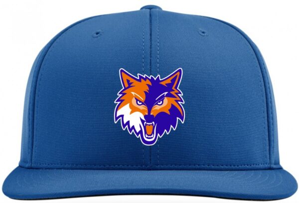 4D1 PTS20 CEDAR RIDGE CAP